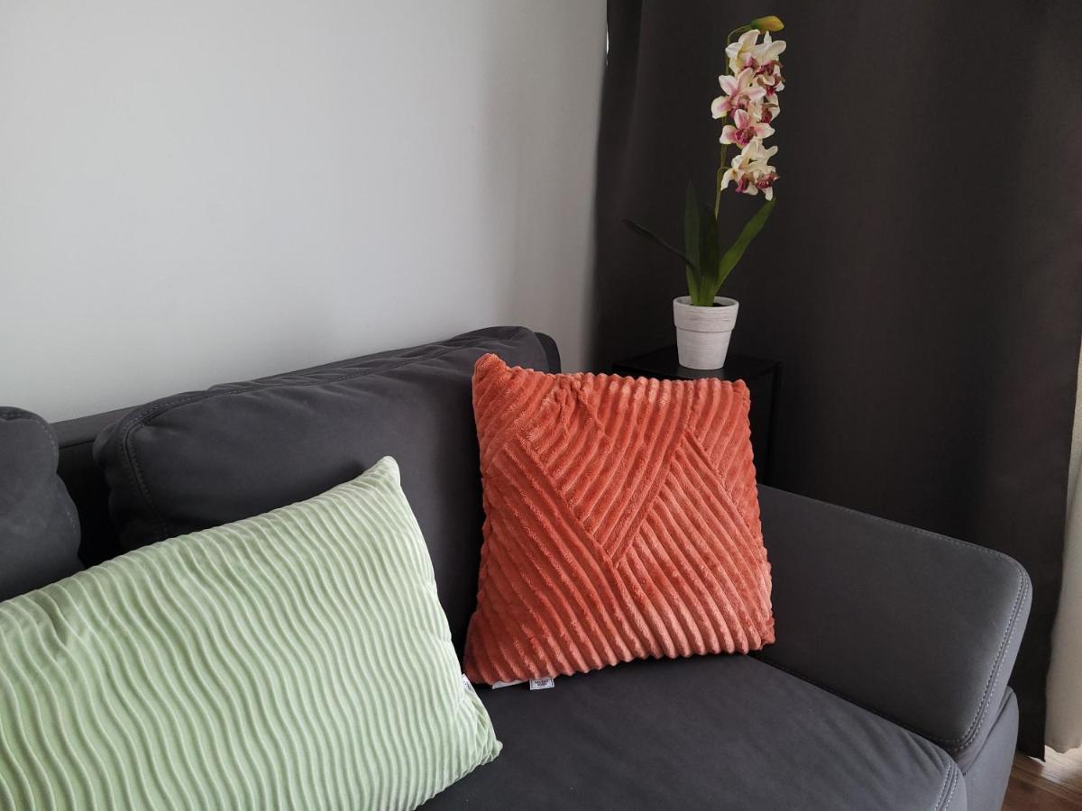3-Zimmer, Bis 6 Personen Mit Parkplatz Apartment มึลไฮม์ อันแดร์ รัวร์ ภายนอก รูปภาพ